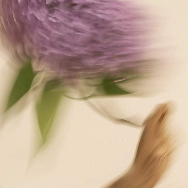 Scented Candle - Lilac + Driftwood - KOKOTETE